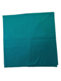 Buff Neck Gaiter Teal (background removed)