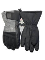 Rapid Sport Adult Ski Gloves (background removed)
